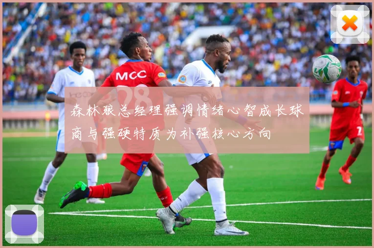 森林狼总经理强调情绪心智成长球商与强硬特质为补强核心方向